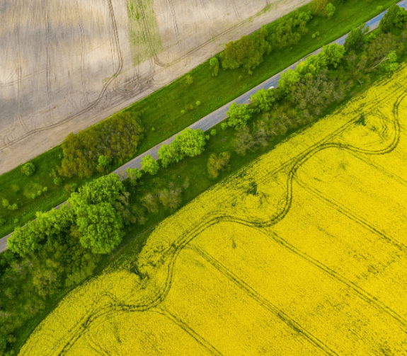 Drone Survey and Mapping