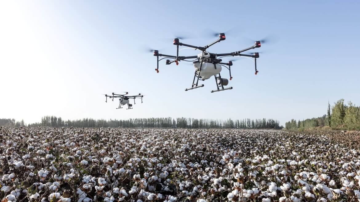 Agriculture